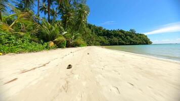 fpv liscio volo al di sopra di tropicale spiaggia su Paradiso isola nel Tailandia. video