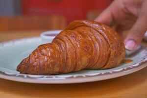 fresh baked croissant on plate with copy space photo