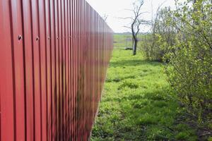 Green grass by the red fence. Spring came. photo