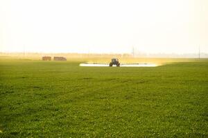 tractor con el ayuda de un rociador aerosoles líquido fertilizantes en joven trigo en el campo. foto