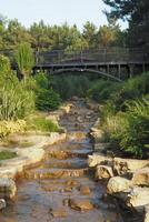 small waterfall with walking bridge at public park photo