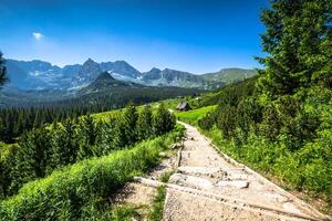 Hala Gasienicowa Valey Gasienicowa in Tatra mountains in Zakopane,Poland photo