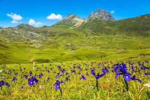 Pyrenees mountains frontera del Portalet, Huesca, Aragon, Spain photo