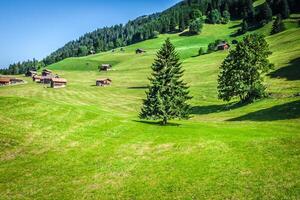 Wooden houses in Malbun in Lichtenstein, Europe photo