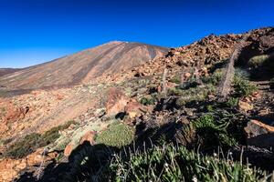 El Teide National Park, Tenerife, Canary Islands, Spain photo