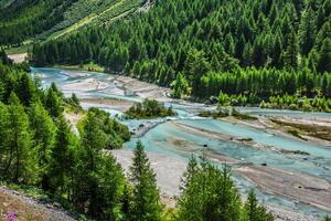 Swiss Alps-river Inn and Pontresina photo