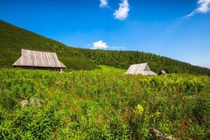 Hala Gasienicowa Valey Gasienicowa in Tatra mountains in Zakopane,Poland photo