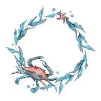 Underwater world clipart with sea animals crab, starfish and algae. Hand drawn watercolor illustration. Circle wreath, frame isolated from the background vector EPS