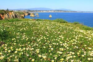 Ponta de Piedade in Lagos, Algarve coast in Portugal photo