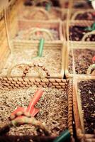 Spices Store at the Oriental Market in Granada, Spain photo