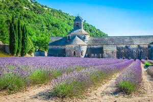 lavanda en frente de el abbaye Delaware senanque en provence foto