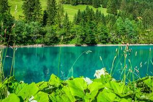 hermosa vista al lago de montaña. Steg, Malbun en Liechtenstein, Europa foto