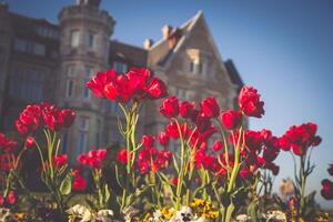 Nice Magdalena Palace in Santander, Spain photo