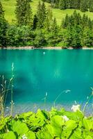 hermosa vista al lago de montaña. Steg, Malbun en Liechtenstein, Europa foto