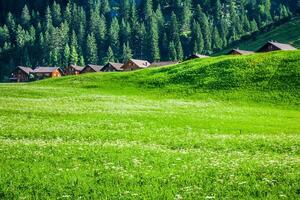 Wooden houses in Steg, Malbun, in Lichtenstein, Europe photo