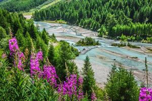 Swiss Alps-river Inn and Pontresina photo