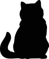 Exotic Shorthair Cat  black silhouette vector