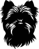 affenpinscher negro silueta vector