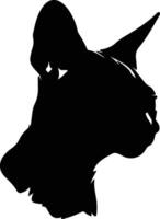 Devon Rex Cat  silhouette portrait vector