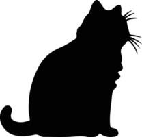 Exotic Shorthair Cat  black silhouette vector