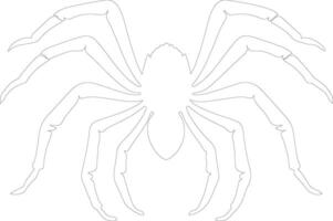 tarántula contorno silueta vector