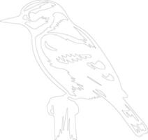 velloso pájaro carpintero contorno silueta vector