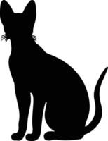Cornish Rex Cat  black silhouette vector