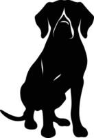 Vizsla    black silhouette vector