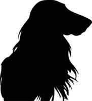 Afghan Hound black silhouette vector