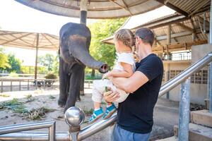 A man with little daughter feeding elephant , travel concept. Thailand, Asia photo