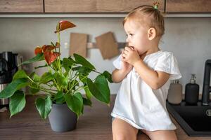 A baby girl with a flower on the kitchen table having fun photo