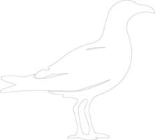 gaviota contorno silueta vector