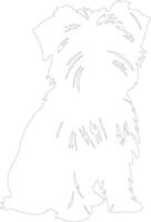 Affenpinscher outline silhouette vector
