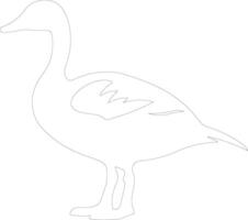 Canadagoose outline silhouette vector
