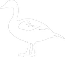 Canadagoose outline silhouette vector