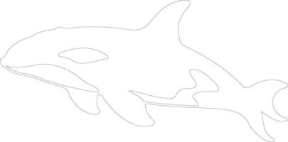 orca  outline silhouette vector