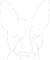 Boston Terrier  outline silhouette vector