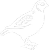 quail   outline silhouette vector