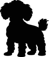 Toy Poodle    black silhouette vector