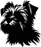 affenpinscher perrito silueta retrato vector