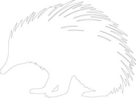 echidna   outline silhouette vector