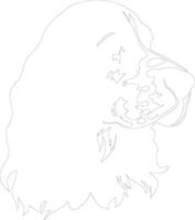 American Cocker Spaniel  outline silhouette vector