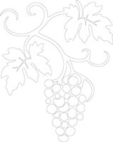 vinegarroon  outline silhouette vector