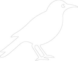 pájaro contorno silueta vector