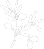 aceituna contorno silueta vector