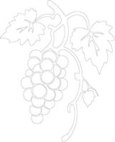 grape  outline silhouette vector