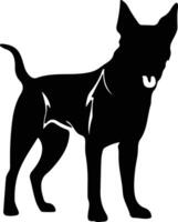 Beauceron    black silhouette vector