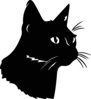 American Wirehair Cat  silhouette portrait vector