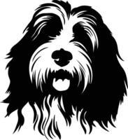 barbado collie silueta retrato vector