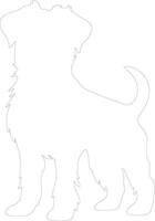 Brussels Griffon  outline silhouette vector